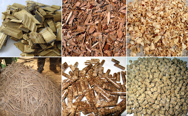 生物質(zhì)燃料 生物質(zhì)燃料